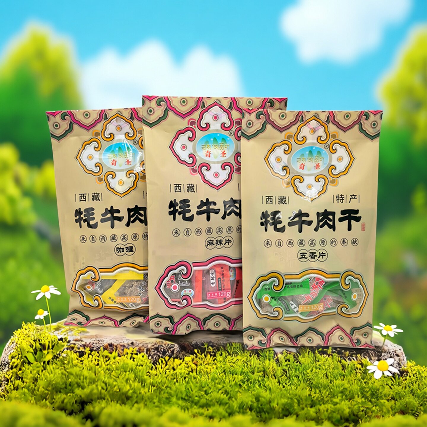 西藏奇圣牦牛肉干独立包装型风干手撕牦牛肉卤汁肉粒肉片正品特产