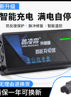 电动电瓶车充电器48V12AH60V20AH72V80V30AH金箭小刀台铃欧派通用