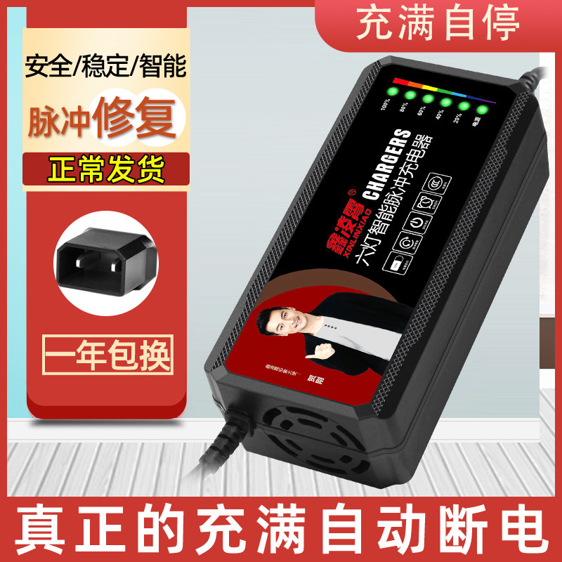 适用于绿源电动车电瓶充电器48V60V72V80V84V96V20AH爱玛电车两孔