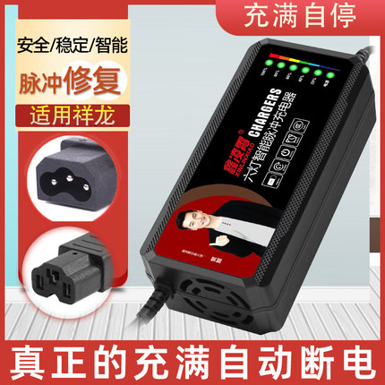 适用于祥龙电动车电瓶充电器48V12AH60V20AH72VT孔通用新国标接口