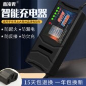 适用于爱玛雅迪自动断电动车电瓶充电器48V12AH60V20AH72V30AH96v
