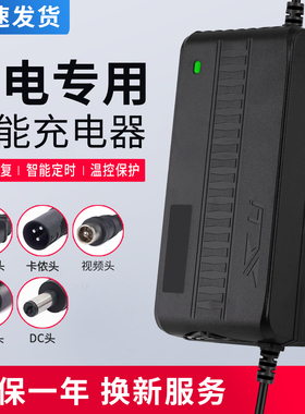 48V锂电池电瓶充电器14串58.8V5A3A2A4A58.8V10A52V快充聚合物