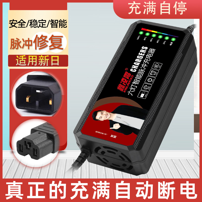 适用新日新国标电动车电瓶充电器48V12AH60V20AH72V30AH防触碰头