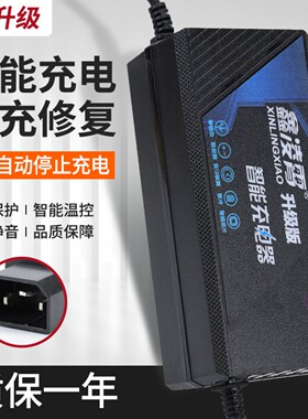 适用于九号电动车充电器N30/B30CB90N70CN80C48V12AH60V72V20AH