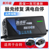 适用台铃云插两孔电动车充电器48V20AH60V72V20AH96V12AH三轮车