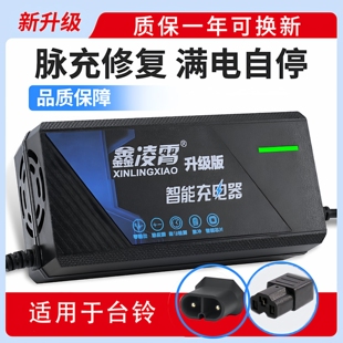 适用台铃云插两孔电动车充电器48V20AH60V72V20AH96V12AH三轮车
