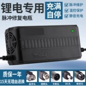 锂电池充电器54.6V48V3A4A5A2A10A滑板车独轮车哈雷电动车改装 车