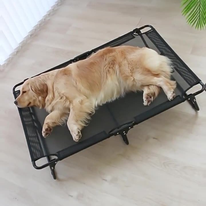 四季通用中大型犬沙发