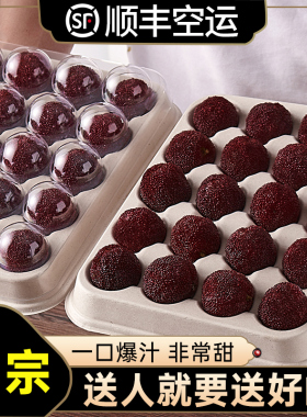 贡品特级特大果19-30g正宗仙居杨梅新鲜东魁杨梅当季水果现摘现发