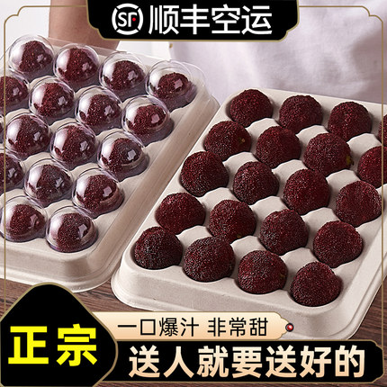 贡品特级特大果19-30g正宗仙居杨梅新鲜东魁杨梅当季水果现摘现发