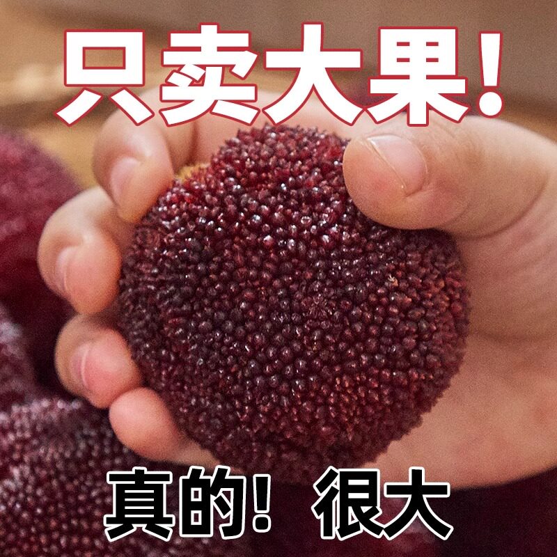 【超大60颗】正宗仙居东魁大杨梅新鲜水果礼盒装现摘现发奢侈送礼