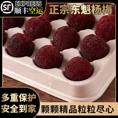 杨梅仙居东魁颗颗精选