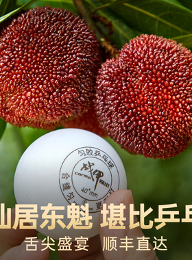 浙江正宗仙居杨梅新鲜现摘现发当季水果东魁大杨梅鲜果礼盒装孕妇