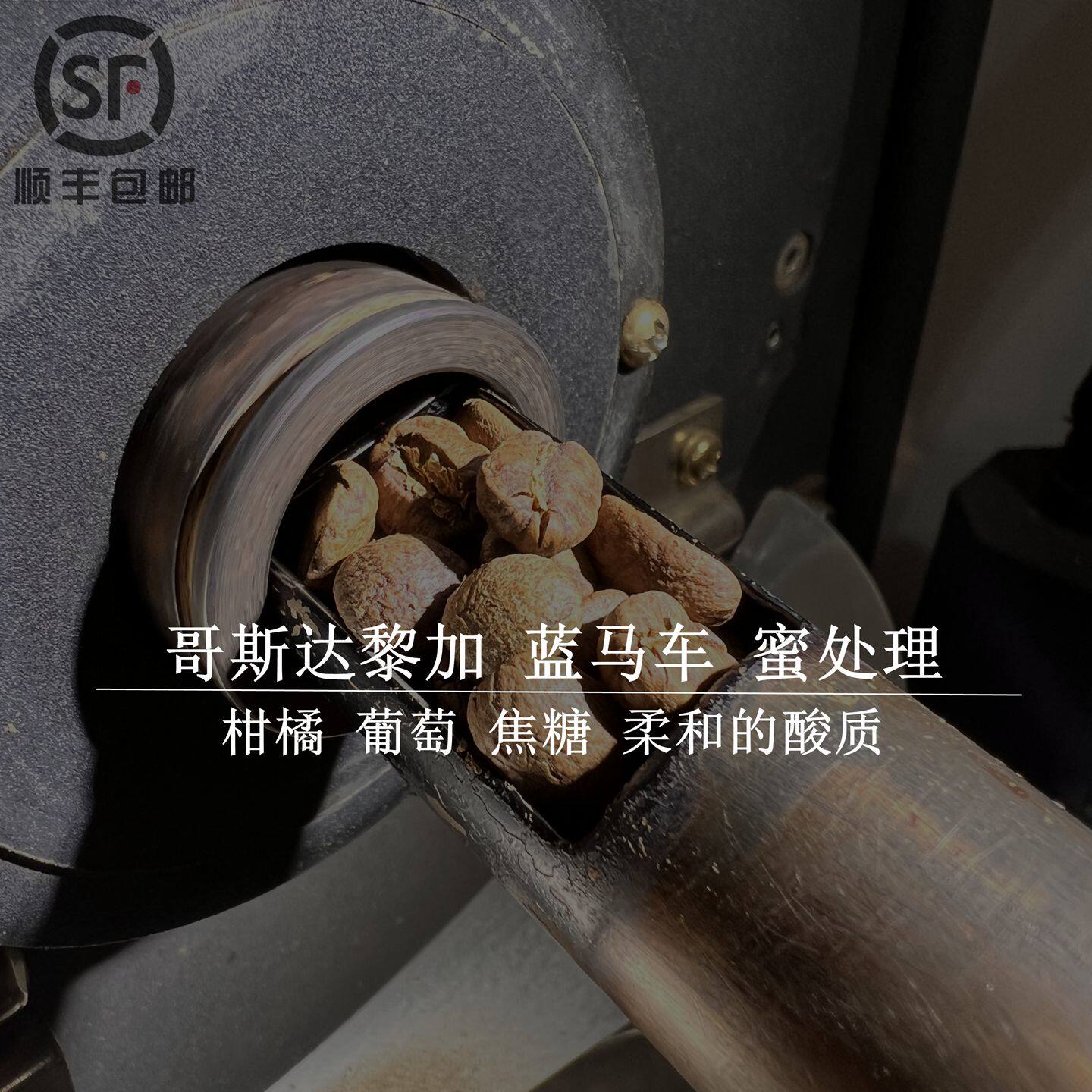 吉森咖啡下单烘焙哥斯达黎加蓝马车蜜处理 葡萄 柑橘甜度高227g袋