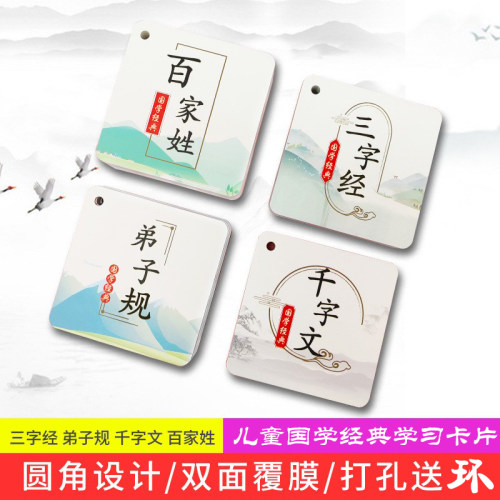 国学经典传统百家姓认字玩具早教