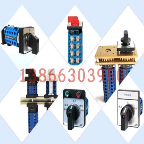 ADI20 3A235-3 10路电容器辅助柜调节开关