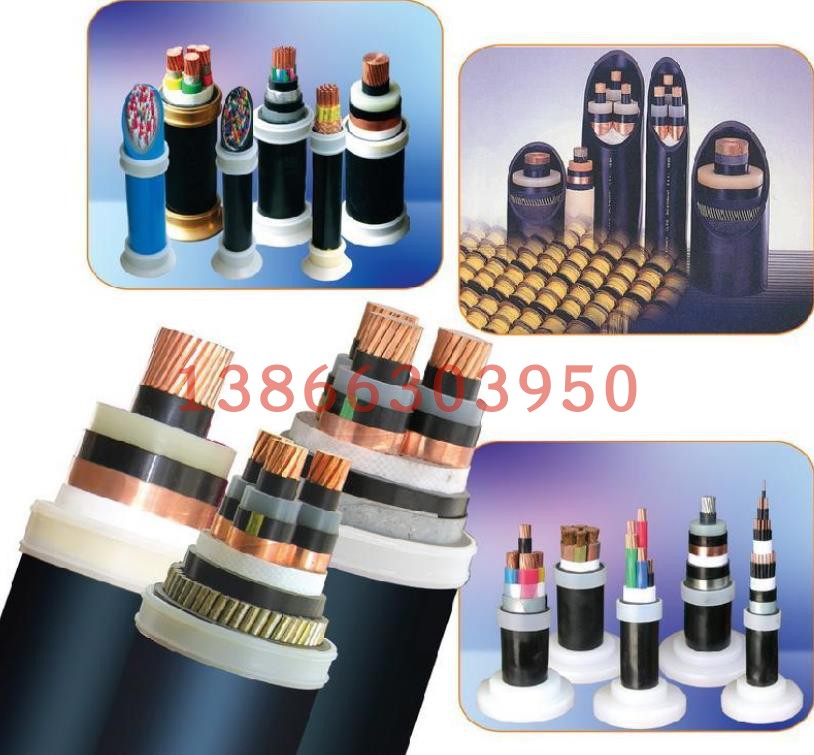 ​BPYJPVP3-22    变频电缆 SPCFC-PVC-2YC(L)GY