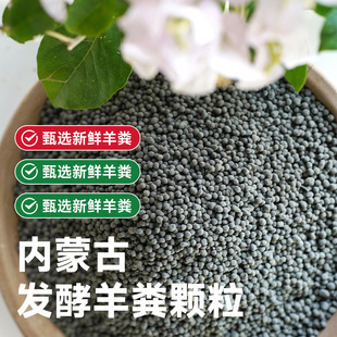 内蒙古羊粪发酵有机肥种菜蔬菜用花卉专用肥料花肥羊粪蛋颗粒通用