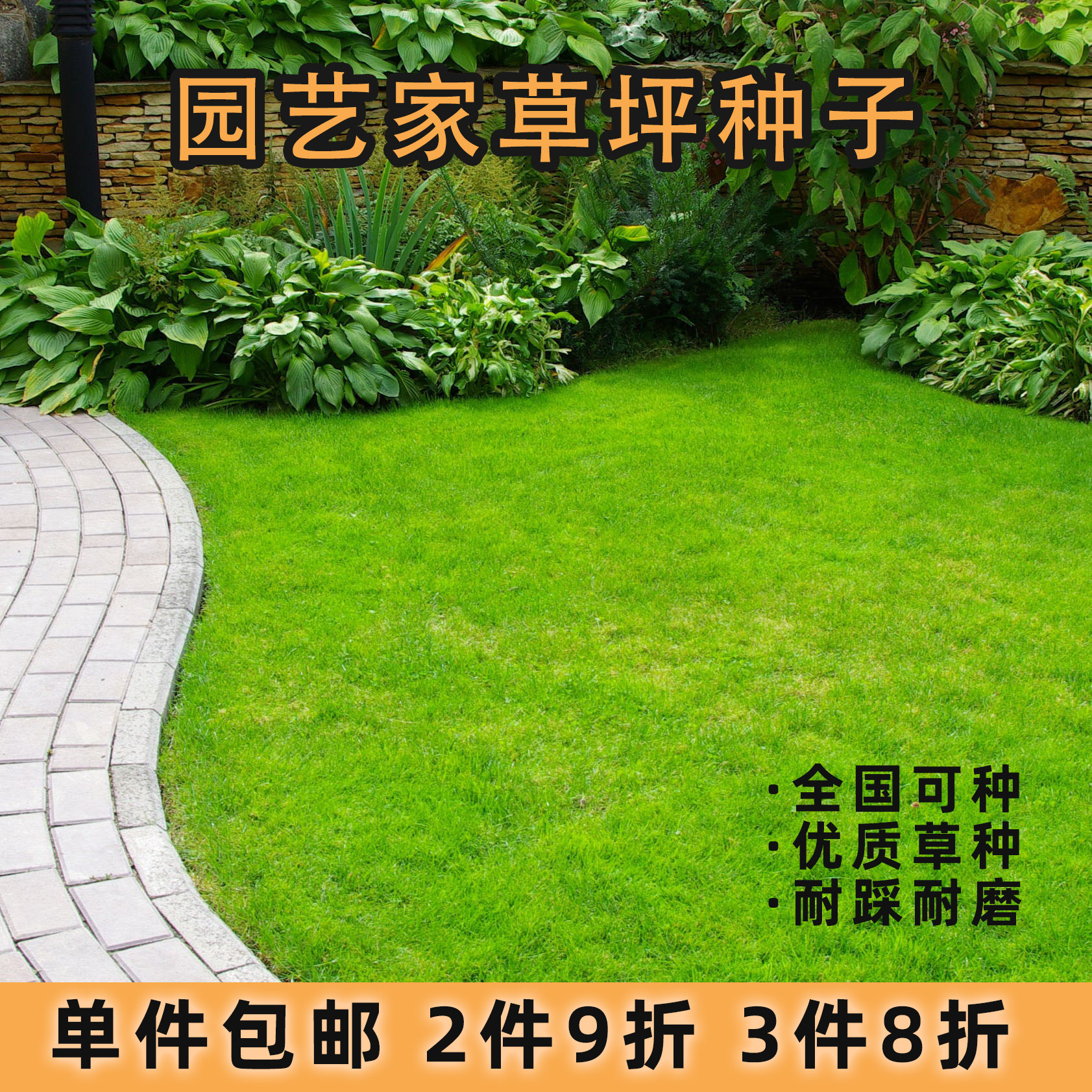 虹越园艺家草坪种子黑麦草高羊茅春秋混播室外庭院全国可种草种籽