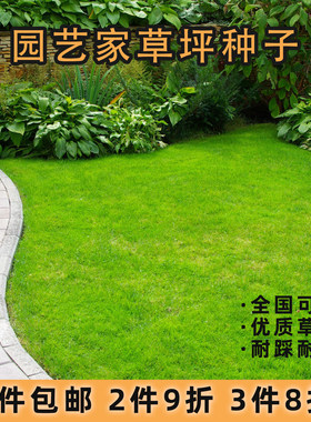 虹越园艺家全国可种草坪种子