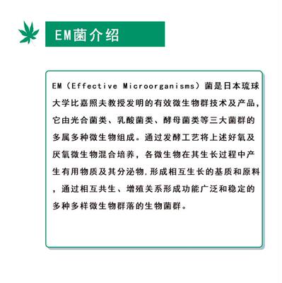 虹越EM菌袋装加速瓜果厨余有机垃圾腐熟碧奥兰家庭波卡西堆肥专用