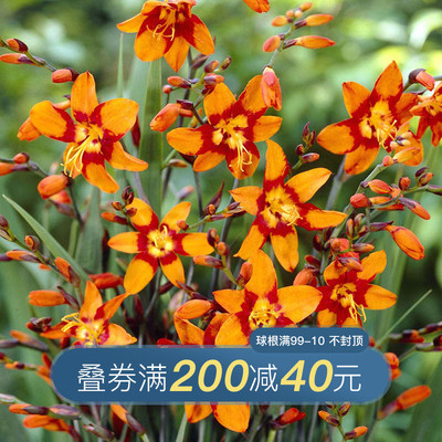 最新优惠券大全 潮趣捡漏