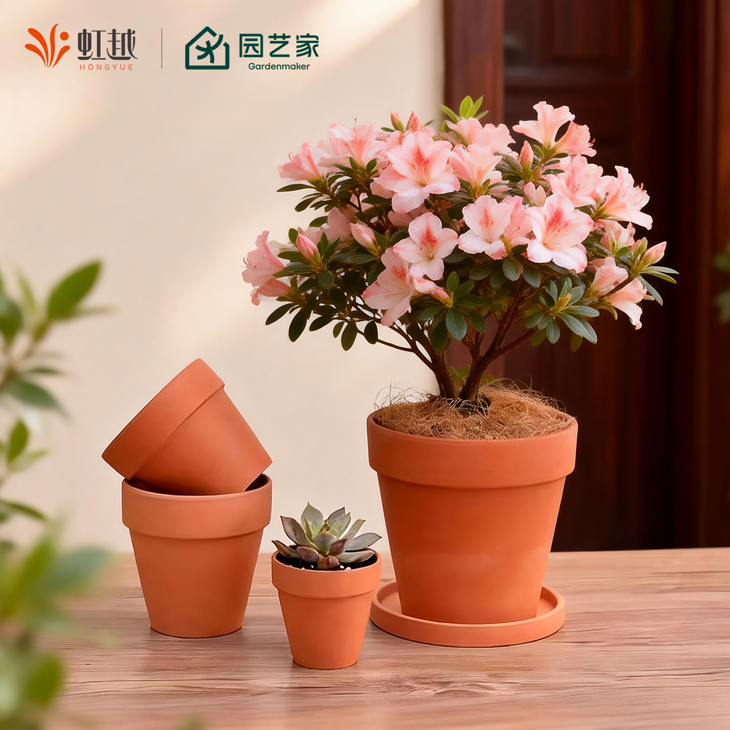 虹越园艺家红陶花盆家用大小号陶土种植盆三角梅多肉透气户外庭院,鲜花速递/花卉仿真/绿植园艺,花盆,淘宝优惠券,粉丝福利购,淘宝优惠卷