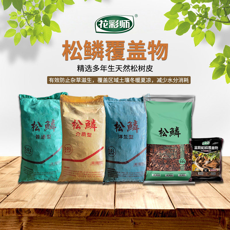 虹越发酵松麟腐熟松树皮兰花专用图片