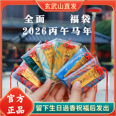 玄武2026马年本命年香囊挂件财运福袋转运吊饰佩戴吉祥物
