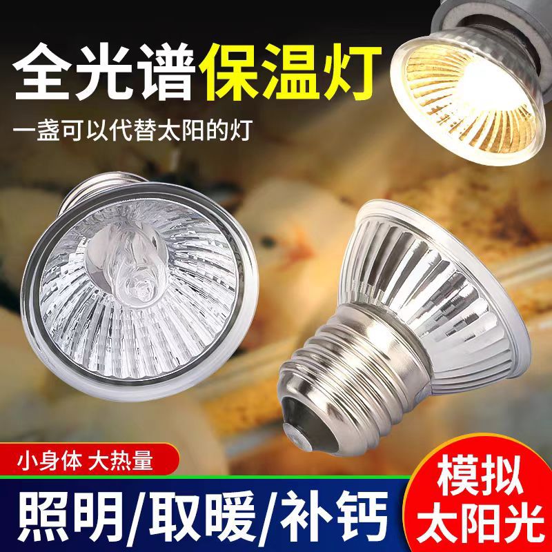 保温灯芦丁鸡取暖灯泡爬宠加热乌龟晒背龟缸太阳uvb补钙灯泡