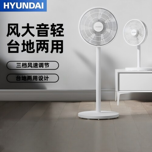 台地两用遥控远距静音落地扇