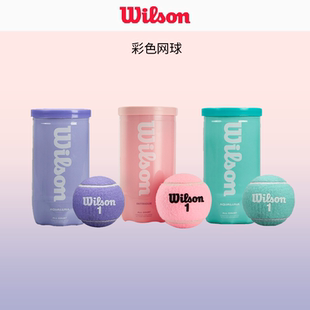 wilson威尔胜粉色网球法网美网澳网费德勒黑罐专业比赛训练用球筒