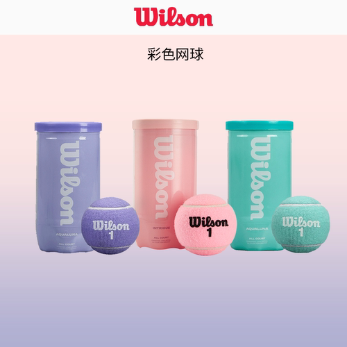 wilson威尔胜粉色网球法网美网澳网费德勒黑罐专业比赛训练用球筒
