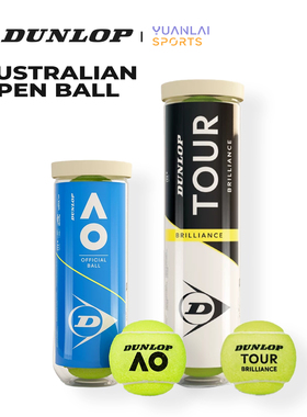 Dunlop邓禄普网球ATPTOUR胶罐筒装澳网AO比赛运动训练球3/4粒罐装