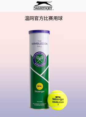 Slazenger史莱辛格网球温网比赛用球高弹单人练习初学者训练球3粒