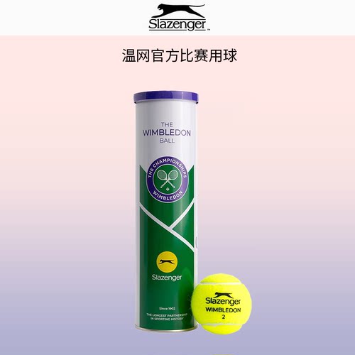 Slazenger史莱辛格网球温网比赛用球高弹单人练习初学者训练球3粒