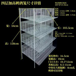 鹌鹑笼鹧鸪笼加高25cm层高大空间鸟笼立式可自动清粪加粗丝养殖笼