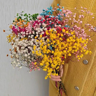 天然风干晒制而成永生满天星搭配花束礼物摄影摆放diy插花