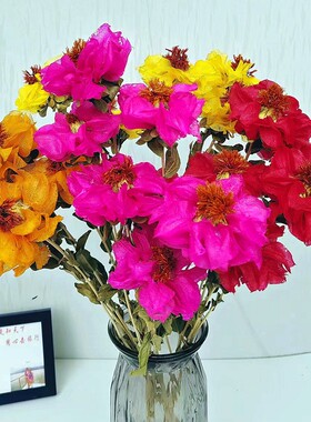 山茶花云南干花真花花束风干植物干花客厅永生花客厅摆放装饰用品