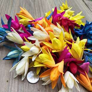 手工diy制作干花材料组合真花花头小玉兰灯笼果永生开心果花材朵