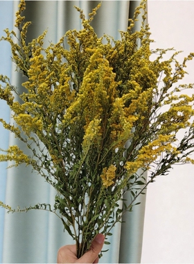 黄莺云南真花干花装搭配配花