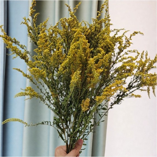 黄莺云南真花干花装搭配配花