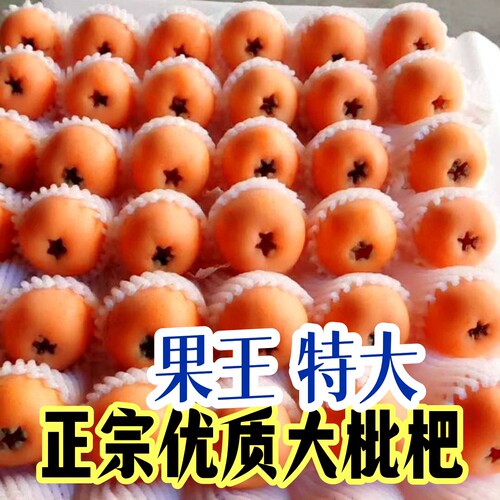 【大高山的枇杷】新鲜现摘云南蒙自枇杷果琵琶鲜果