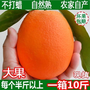 秭归长虹脐橙新鲜4.9公斤 假一赔十 包邮 现货 顺丰 橙子甜正版 宜昌