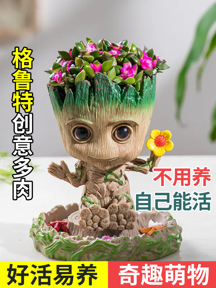 格鲁特鸟窝小花盆多肉植物仙人球仙人掌办公室桌面diy摆件好养活