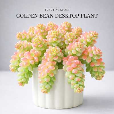 糖果新玉坠缀锦多肉植物