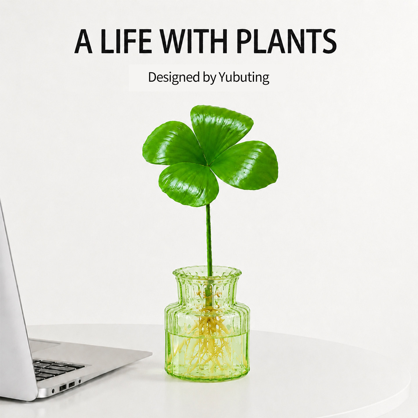 幸运四叶草墨西哥铁树苔藓球水培植物小盆栽绿植办公室内工位摆件