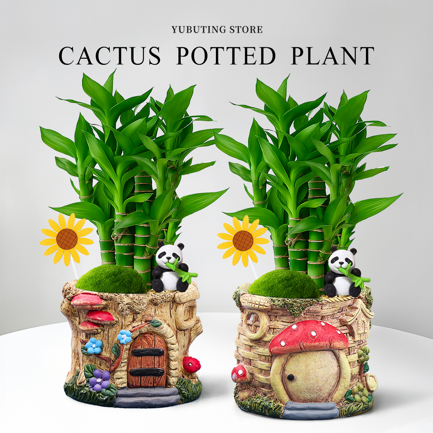 富贵竹盆栽绿植室内植物发财树四季好养办公室桌面盆景幼儿园花卉
