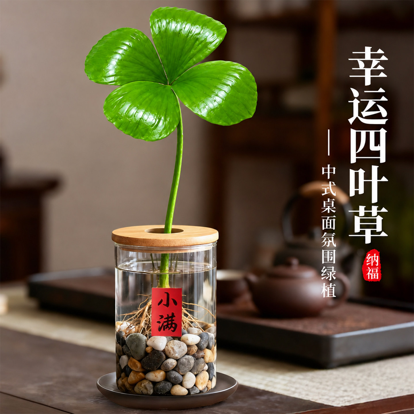 四叶草盆栽室内水培绿植桌面植物盆景书房禅意工位摆件办公室好养