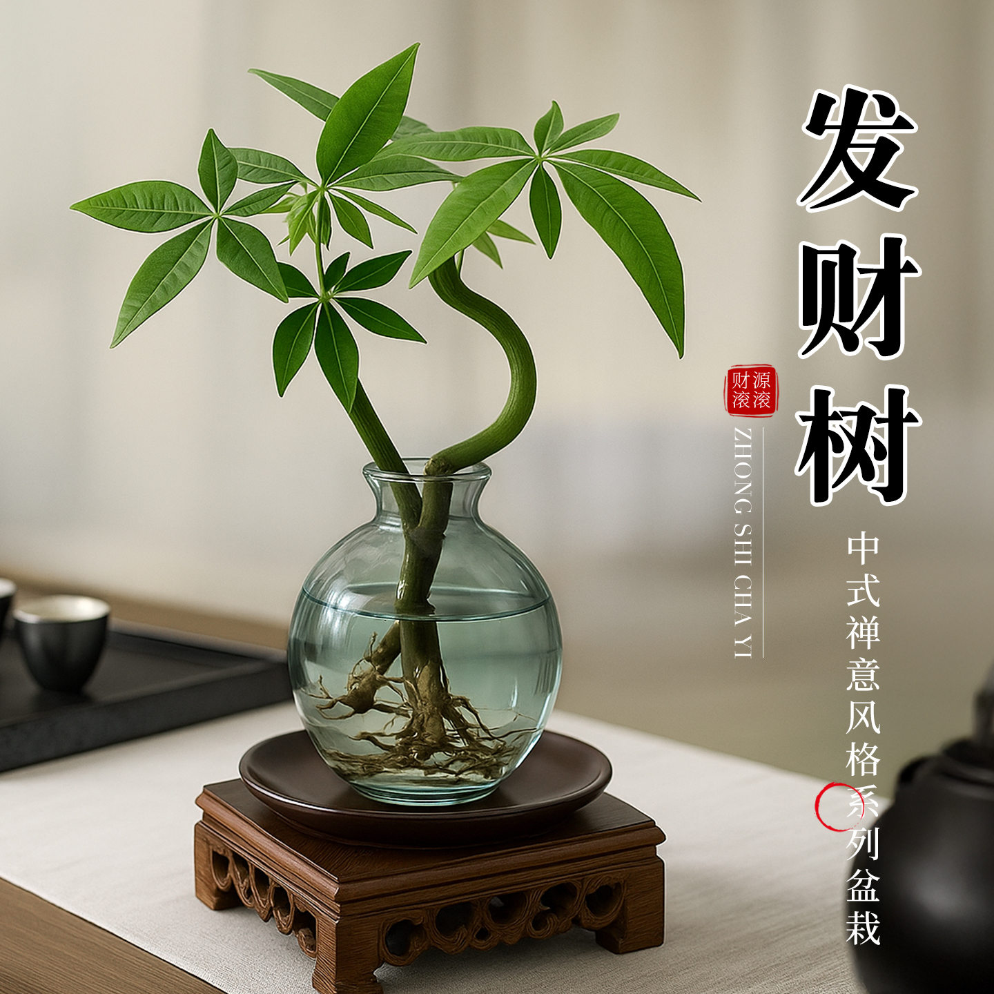 发财树小盆栽水培植物办公室内